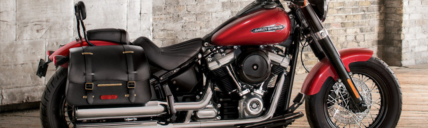 2020 Harley-Davidson® Softail Slim® for sale in Alaska Harley-Davidson®, Anchorage, Alaska
